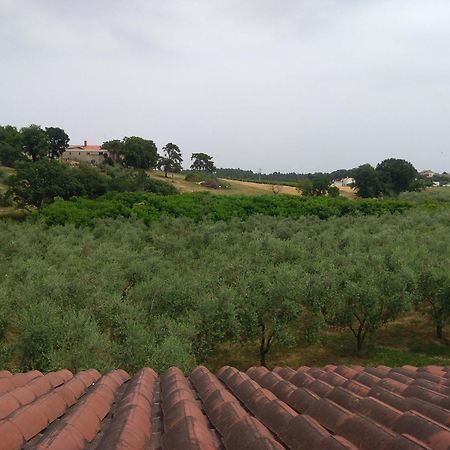 Apartment Nebo Poreč Dış mekan fotoğraf