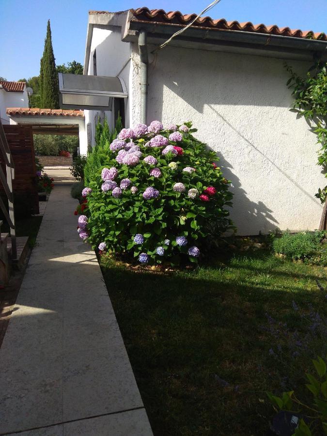 Apartment Nebo Poreč Dış mekan fotoğraf