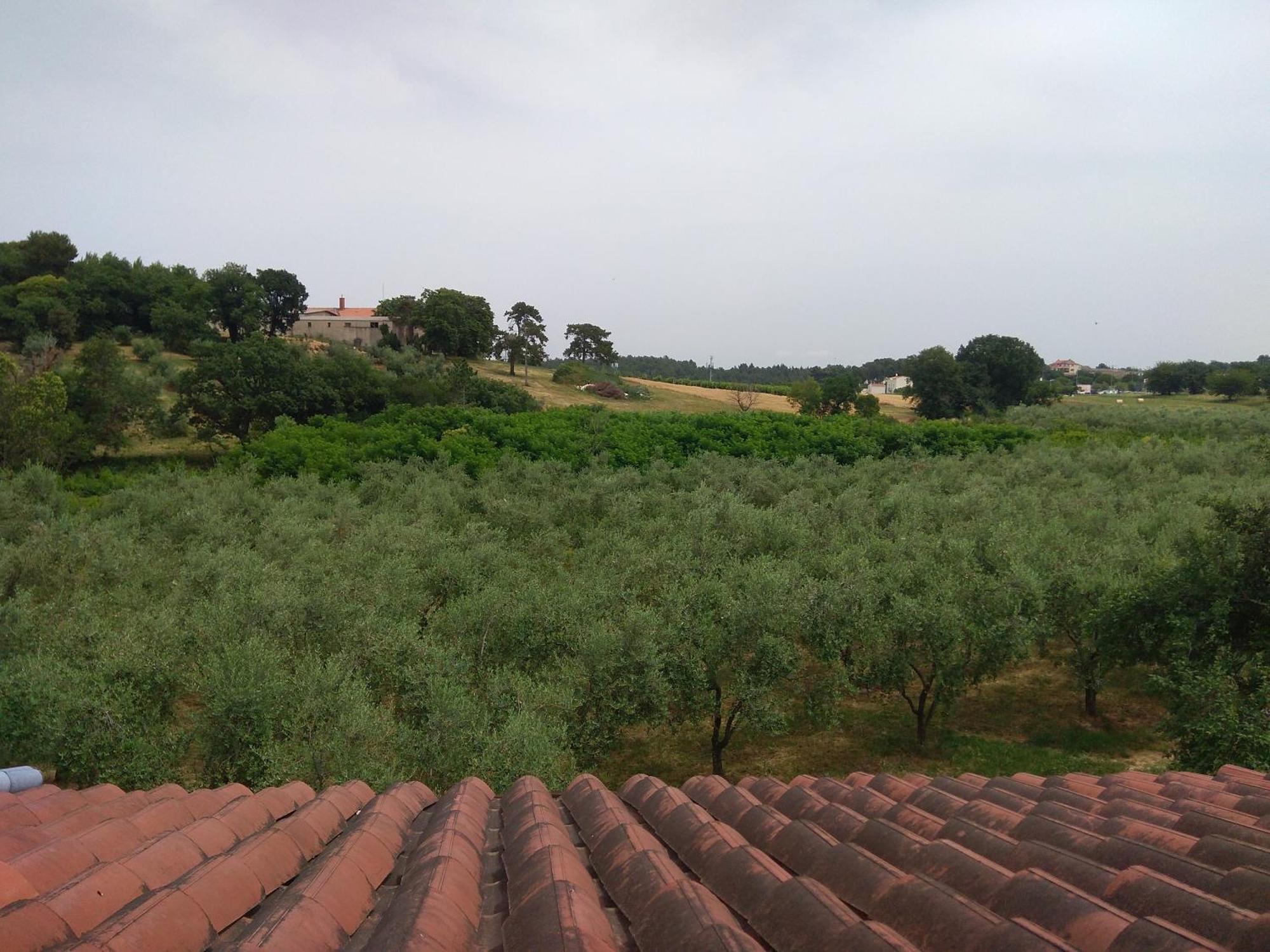 Apartment Nebo Poreč Dış mekan fotoğraf